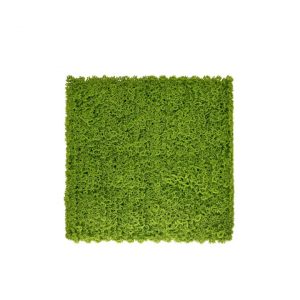 Jardín vertical Musgo ( 50 x 50 cm )